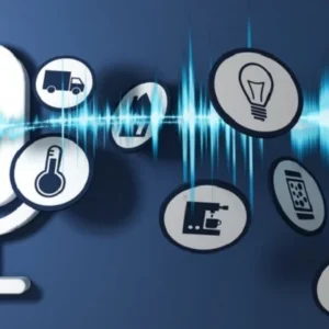 Voice Assistant Integration (Hourly Rate)