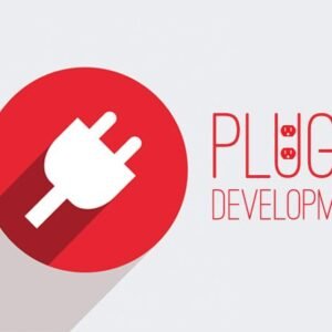 WordPress Plugin Development